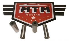 Jogo de Pinos H13 MTM 22mm com DLC